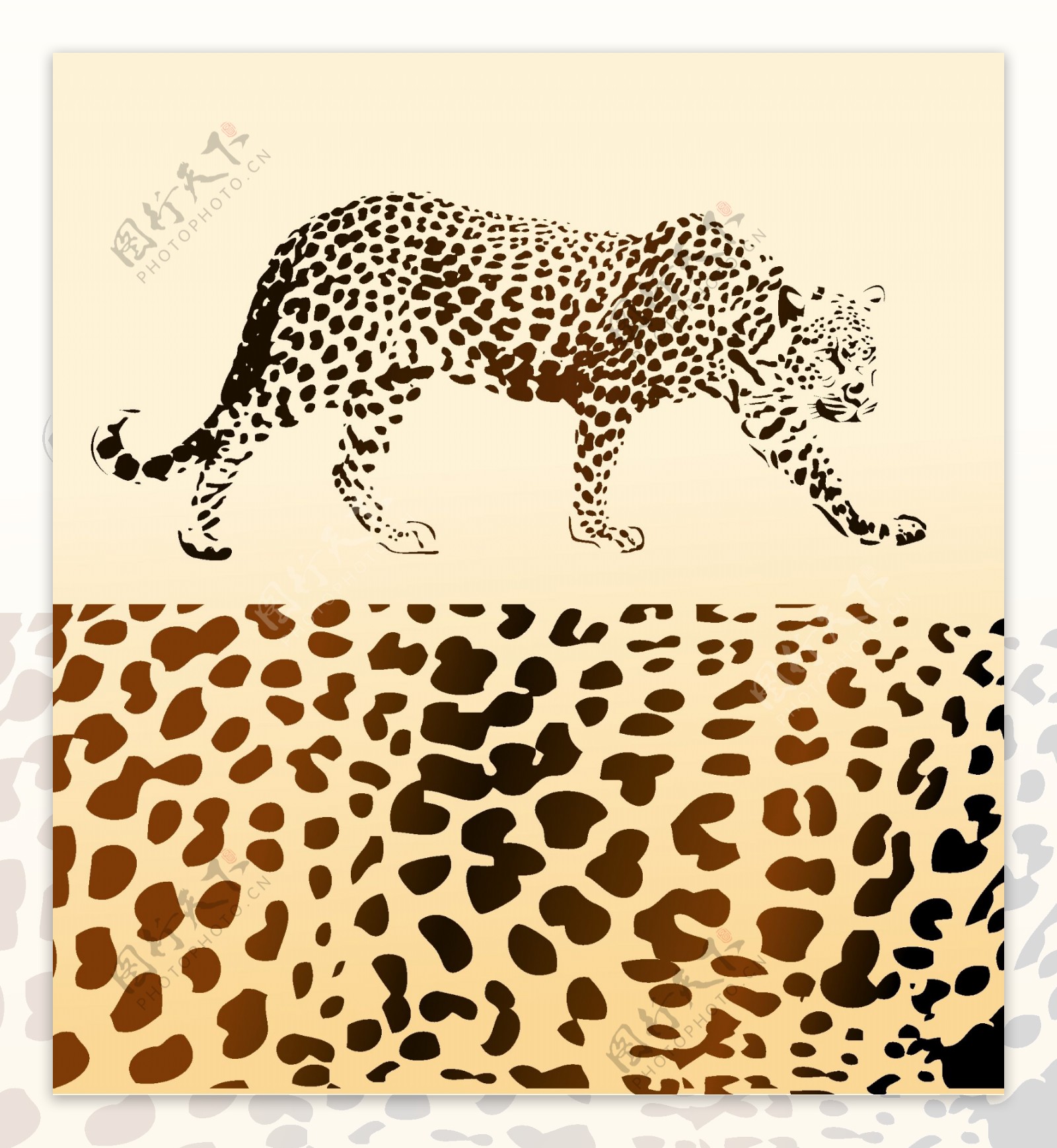 豹和动物矢量素材
