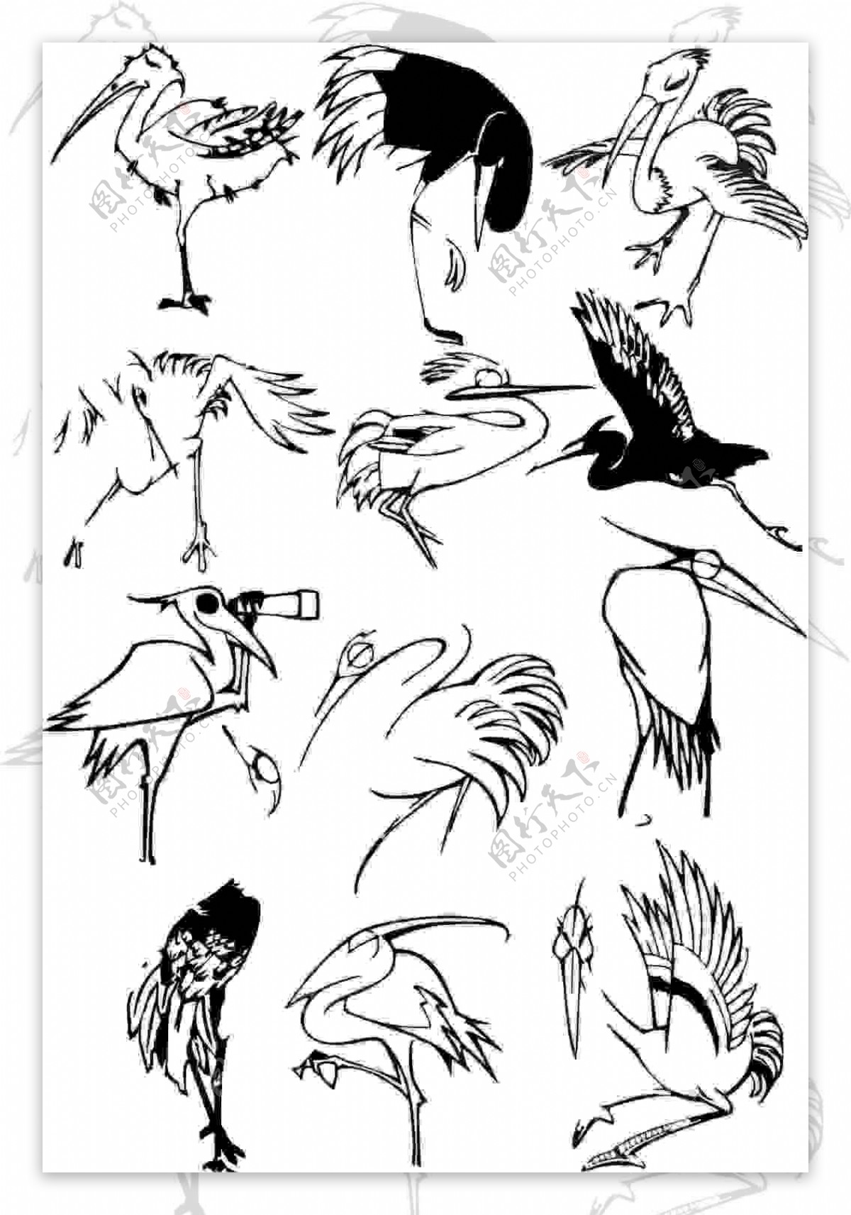 小鸟手绘黑白线稿设计