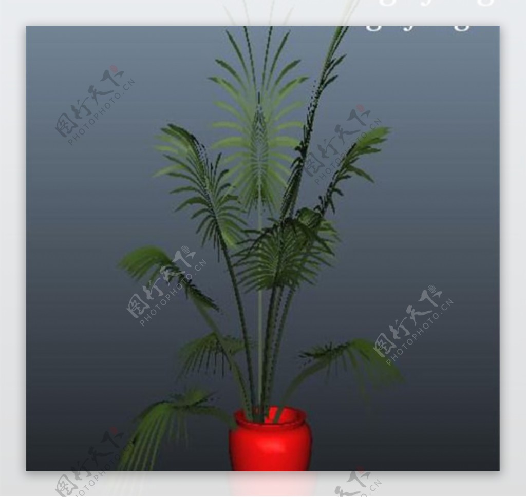 盆栽植物游戏装饰模型
