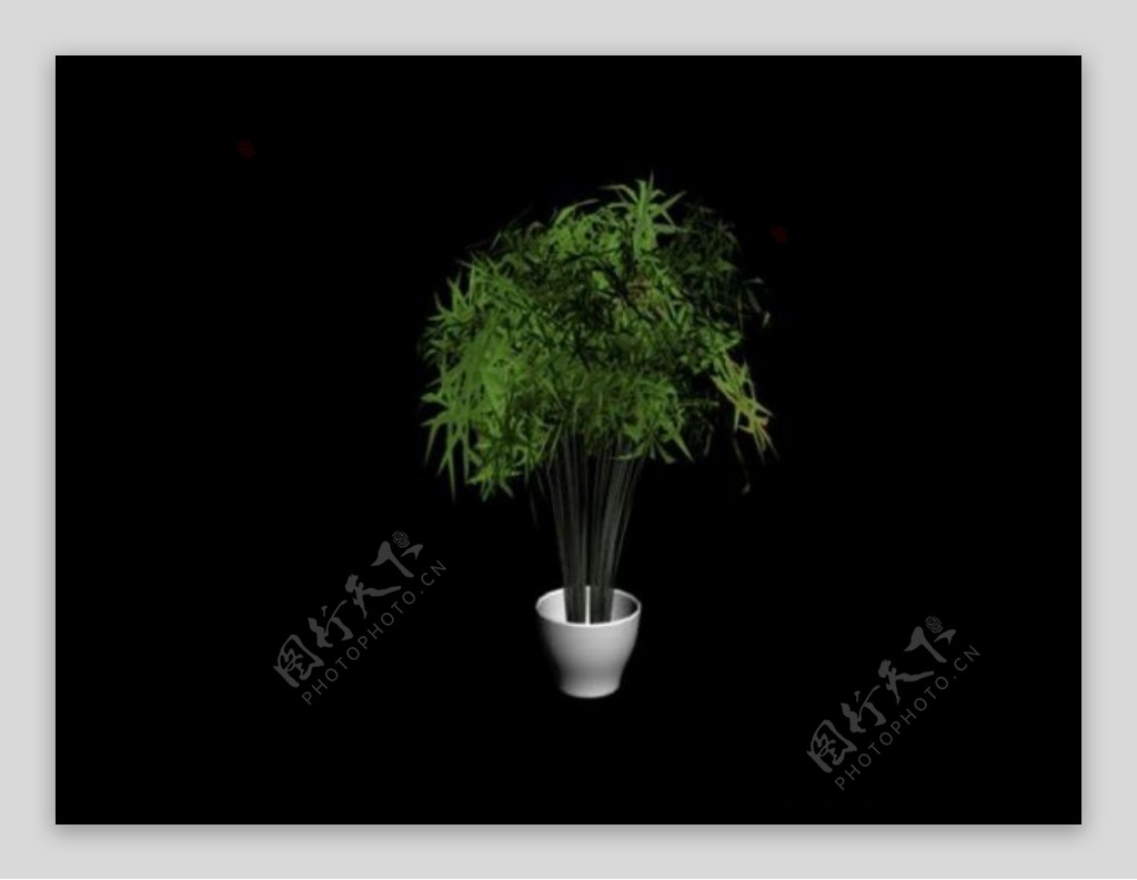 室内精品3d植物模型