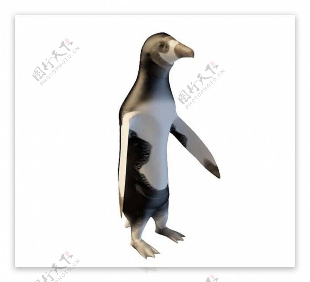 企鹅3d模型