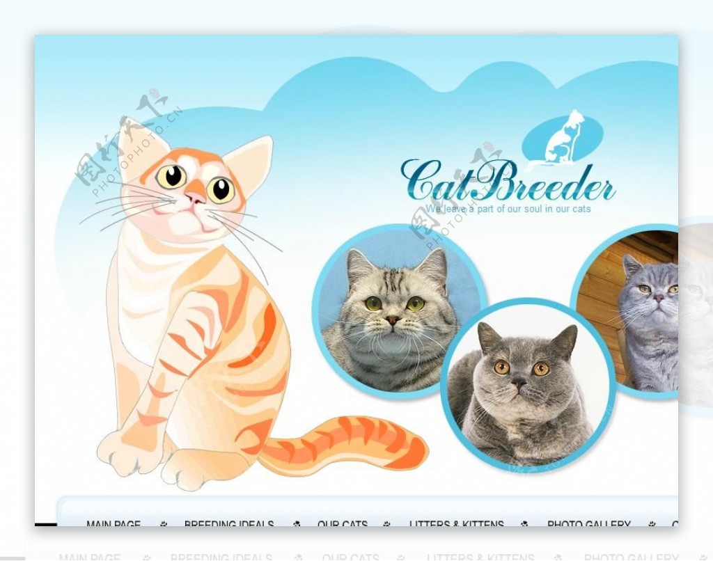 猫世界网页动画模板