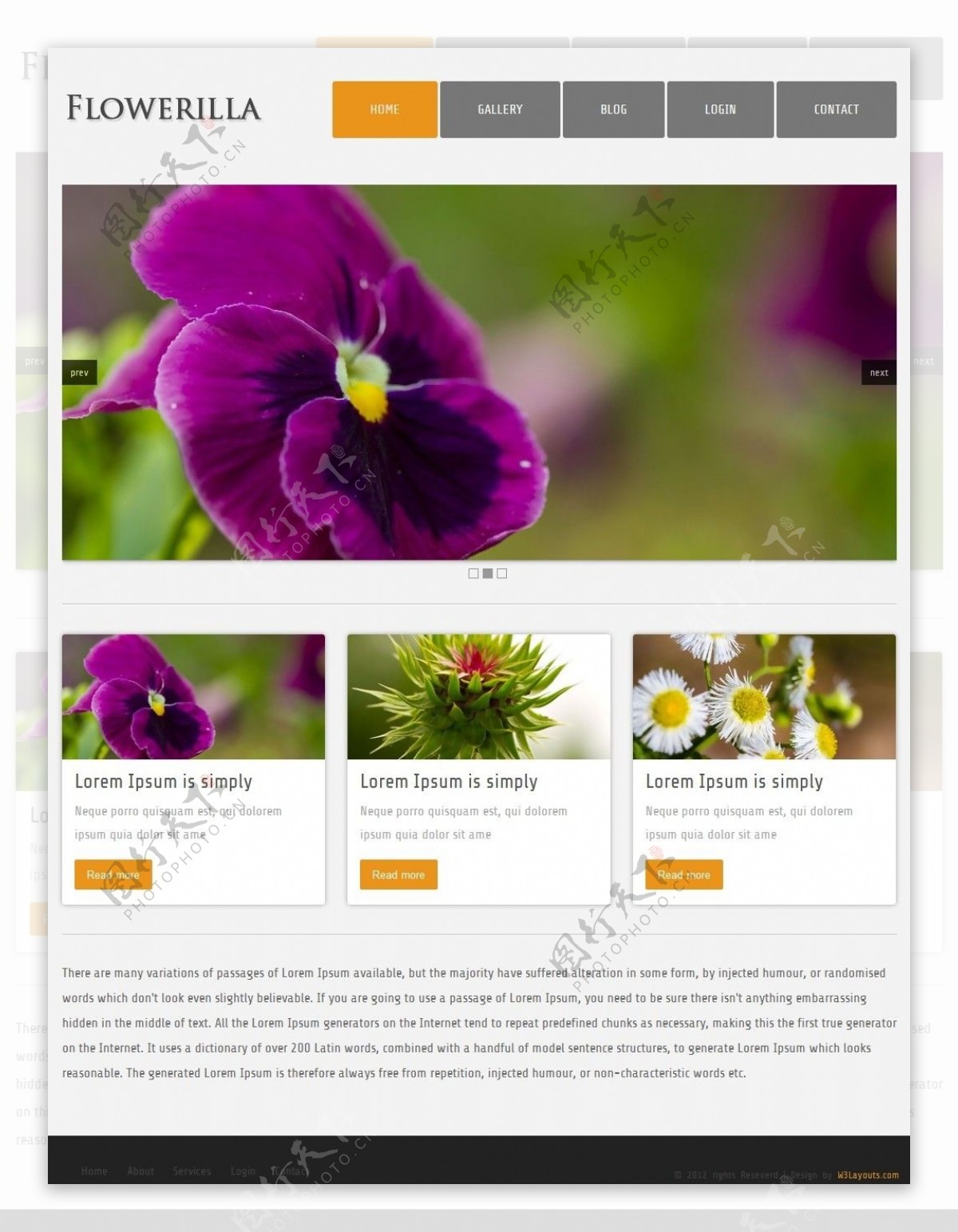 花朵图片展示网页模板