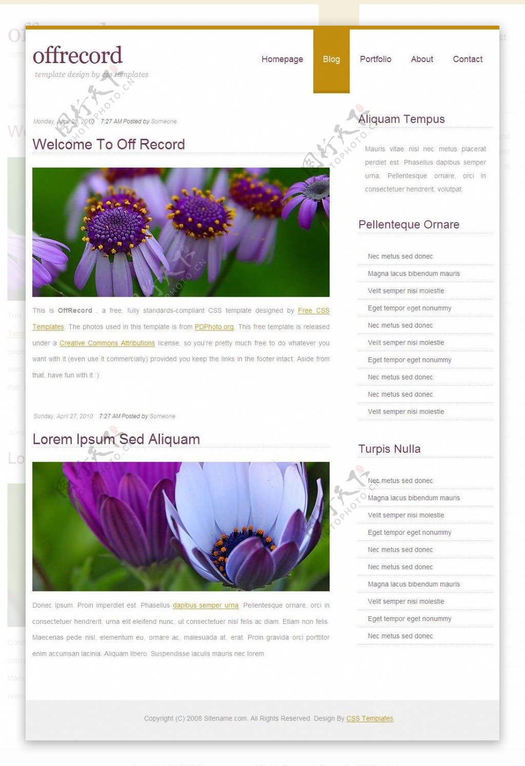 紫色菊花BLOG网页模板