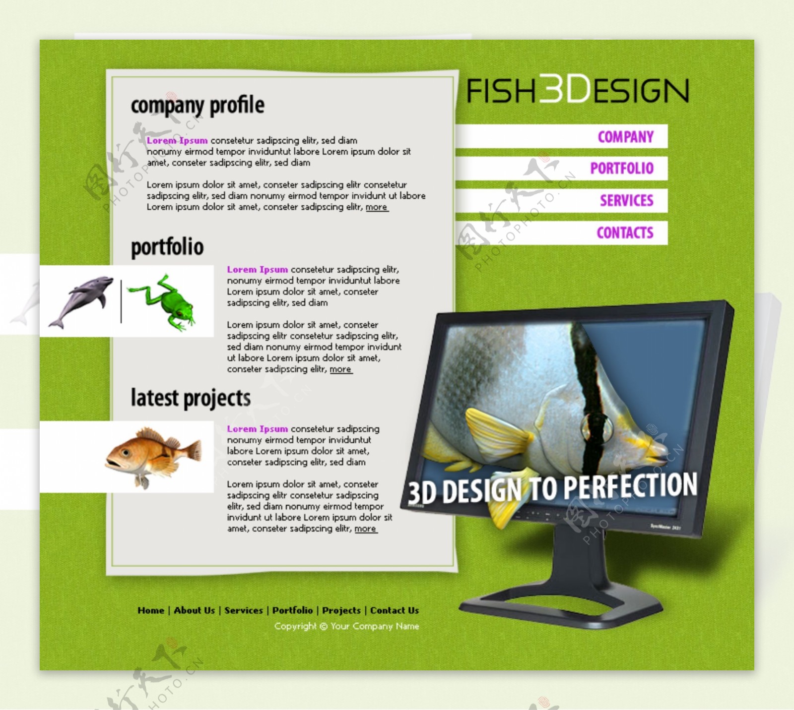 FLASH设计公司网页模板