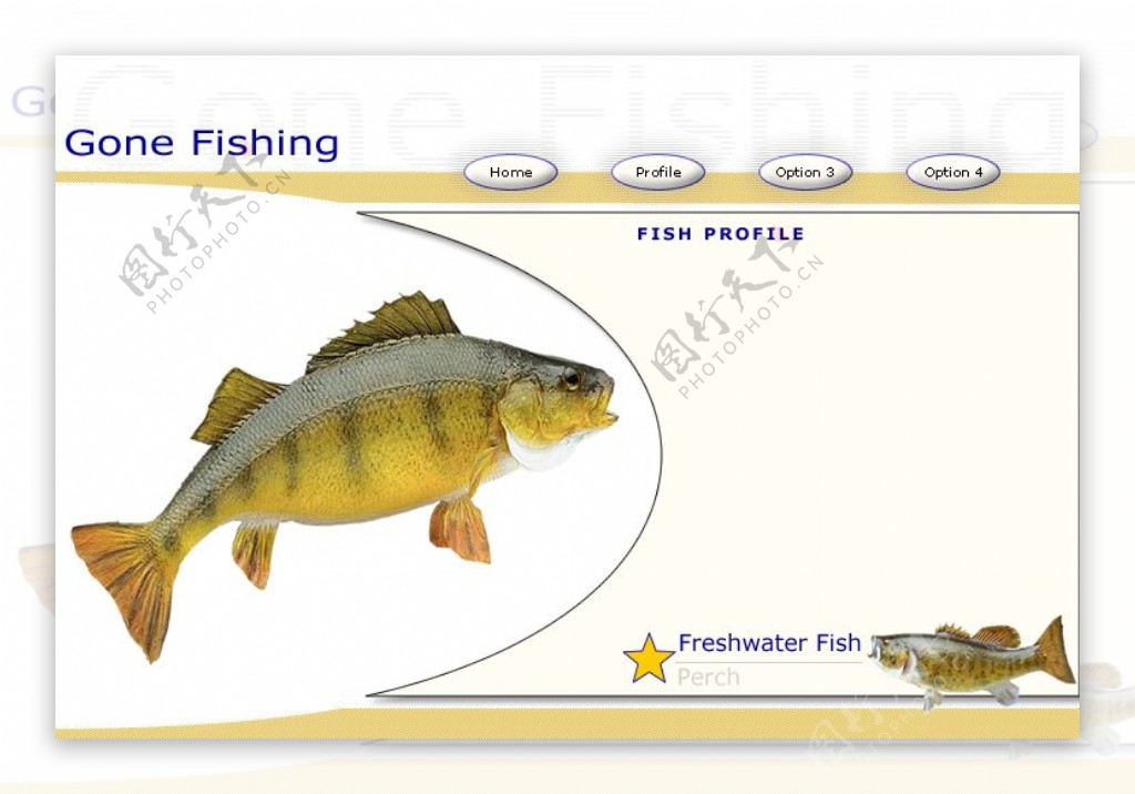 与鱼相关主题网页模板