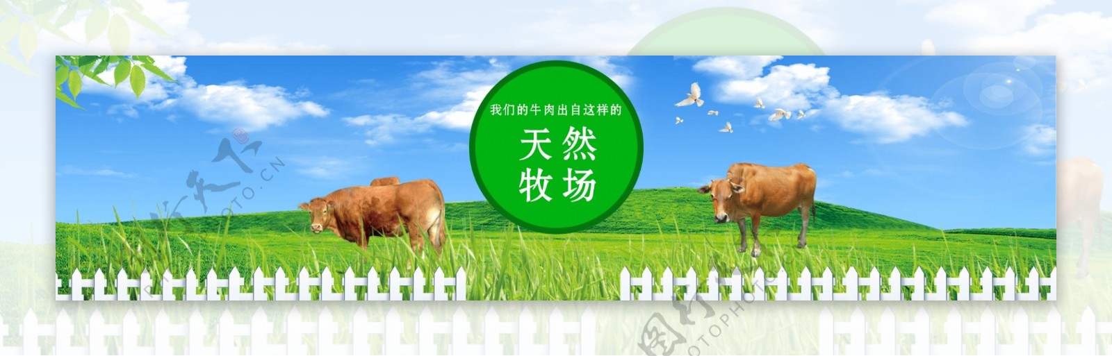 畜牧业网页banner