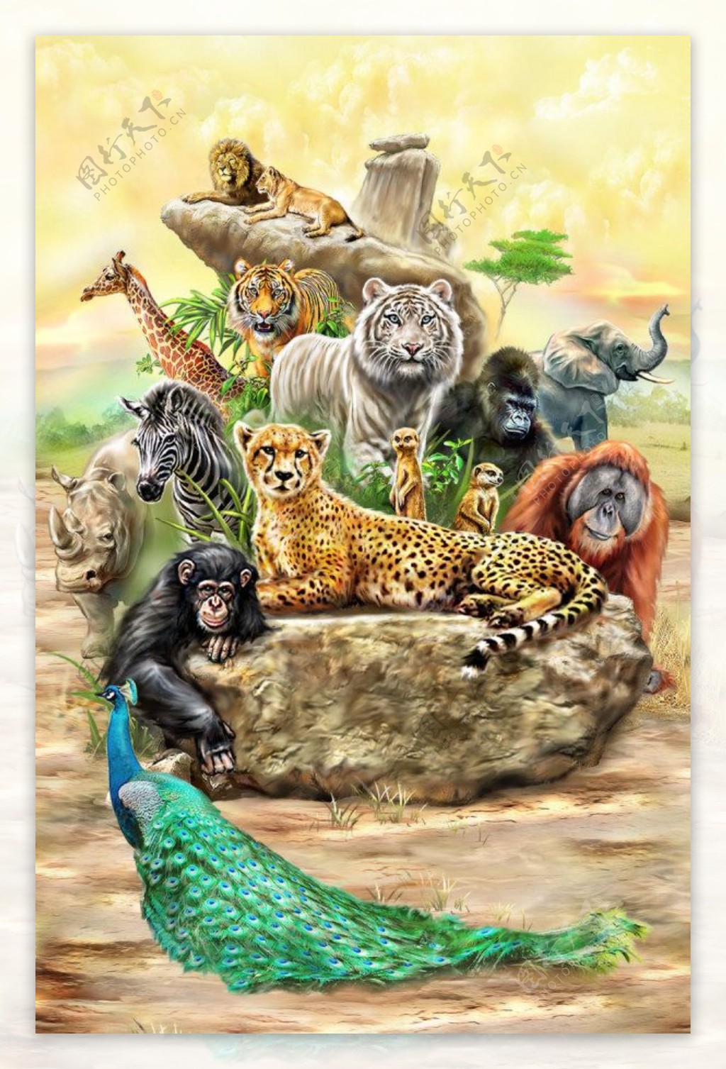 手绘森林动物海报