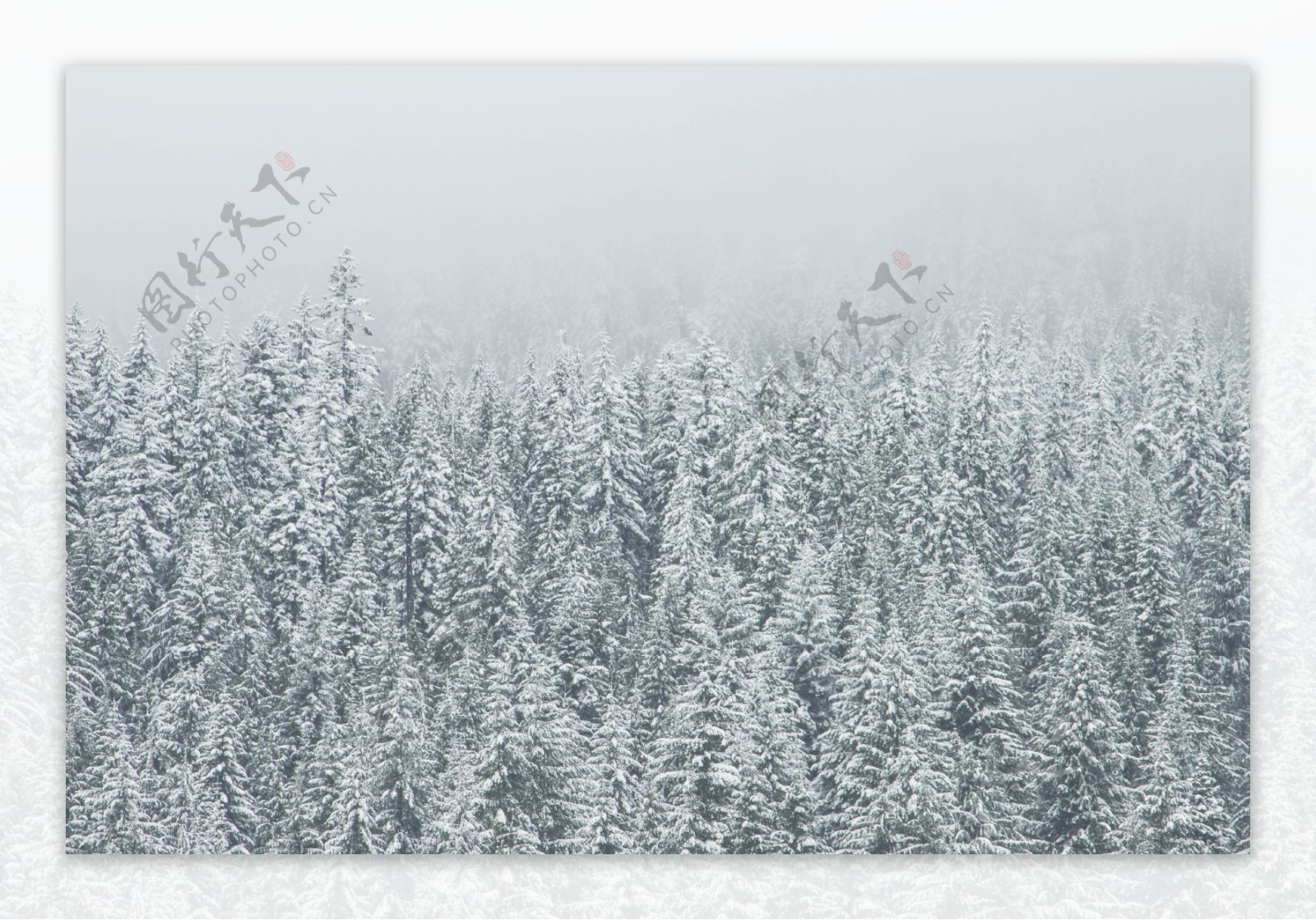 冬天下雪高清背景