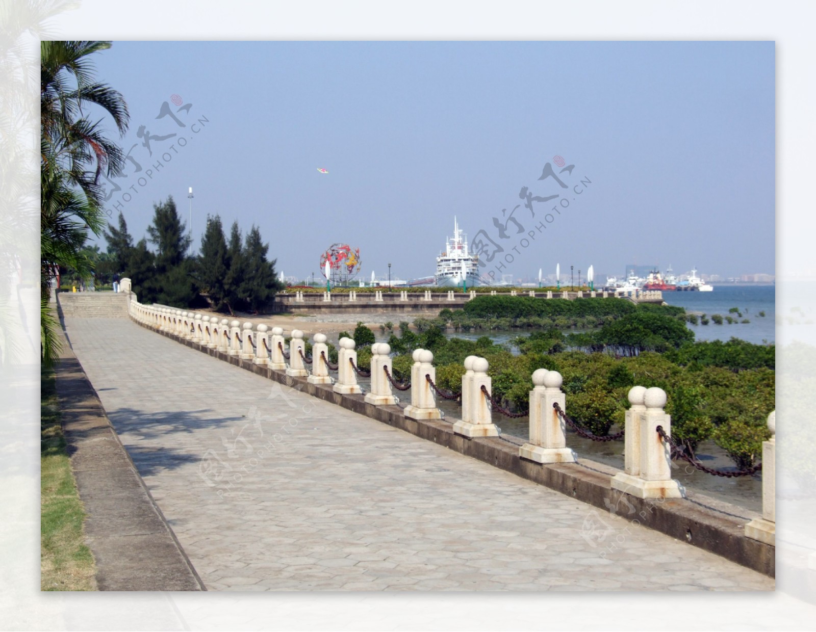 湛江观海长廊海边红树林图片