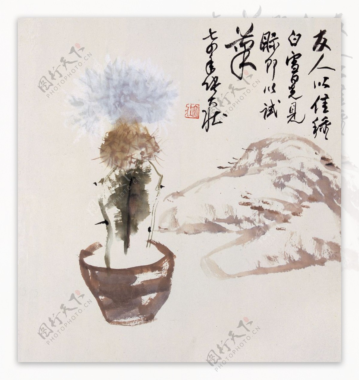 清晓长盛花开