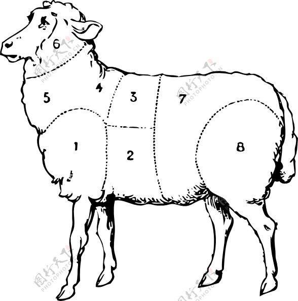 羊剪贴画