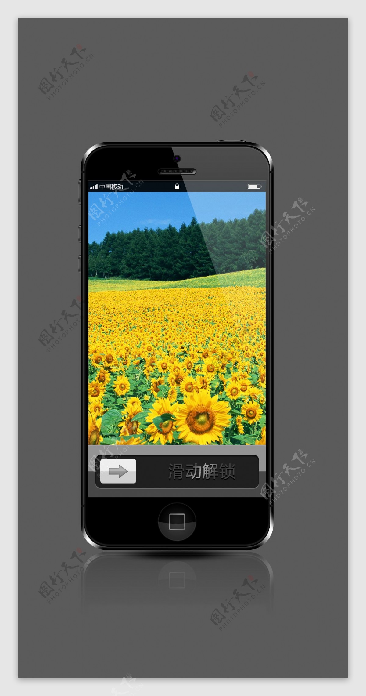 iphone5手机图片