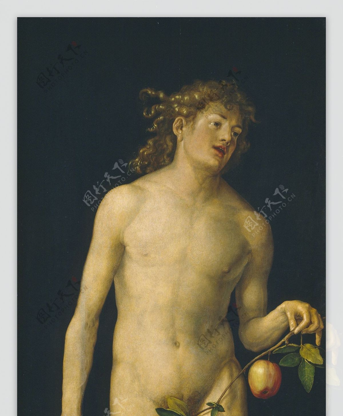 DurerAlbrechtAdam1507德国画家阿尔弗雷德丢勒AlbrechtDrer人物肖像油画装饰画油画
