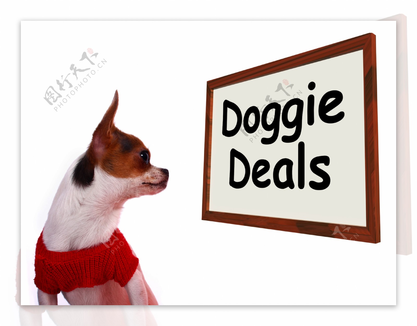 小狗狗签署协议显示讨价还价交易和间隙