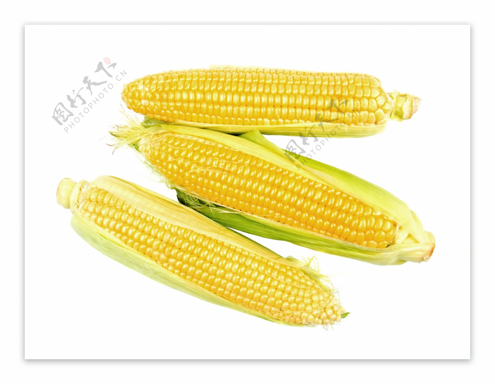 玉米孤立在白色背景