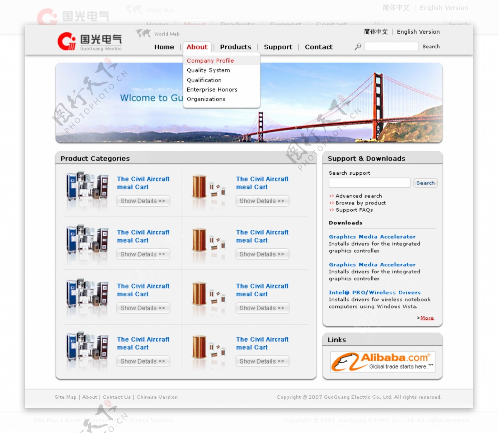 电气产品国际站网页模板