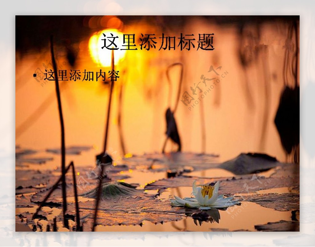 中国国家地理杂志2012全球摄影大赛自然风景PPT8