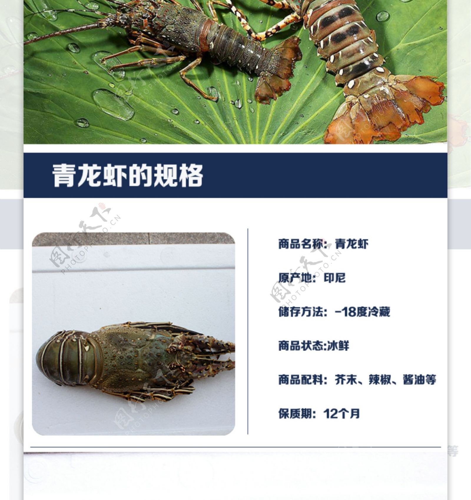 青龙虾详情页