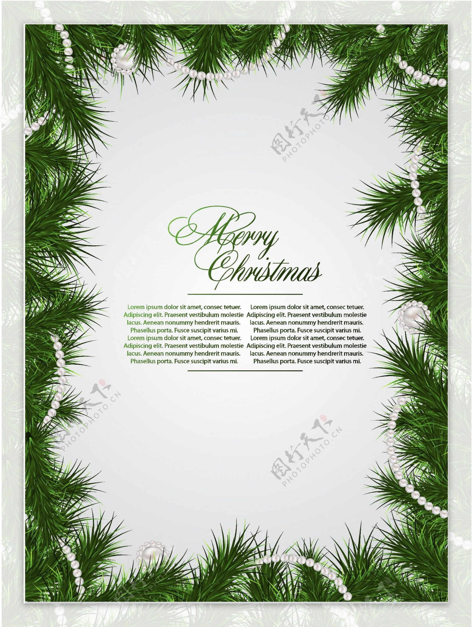 圣诞松树枝边框背景图片
