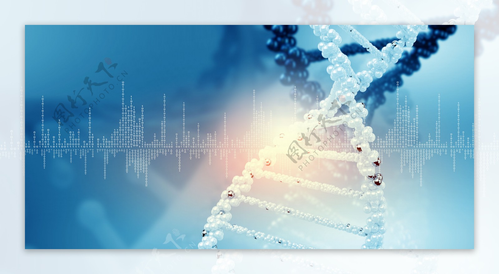 DNA遗传基因图片素材-编号03125353-图行天下
