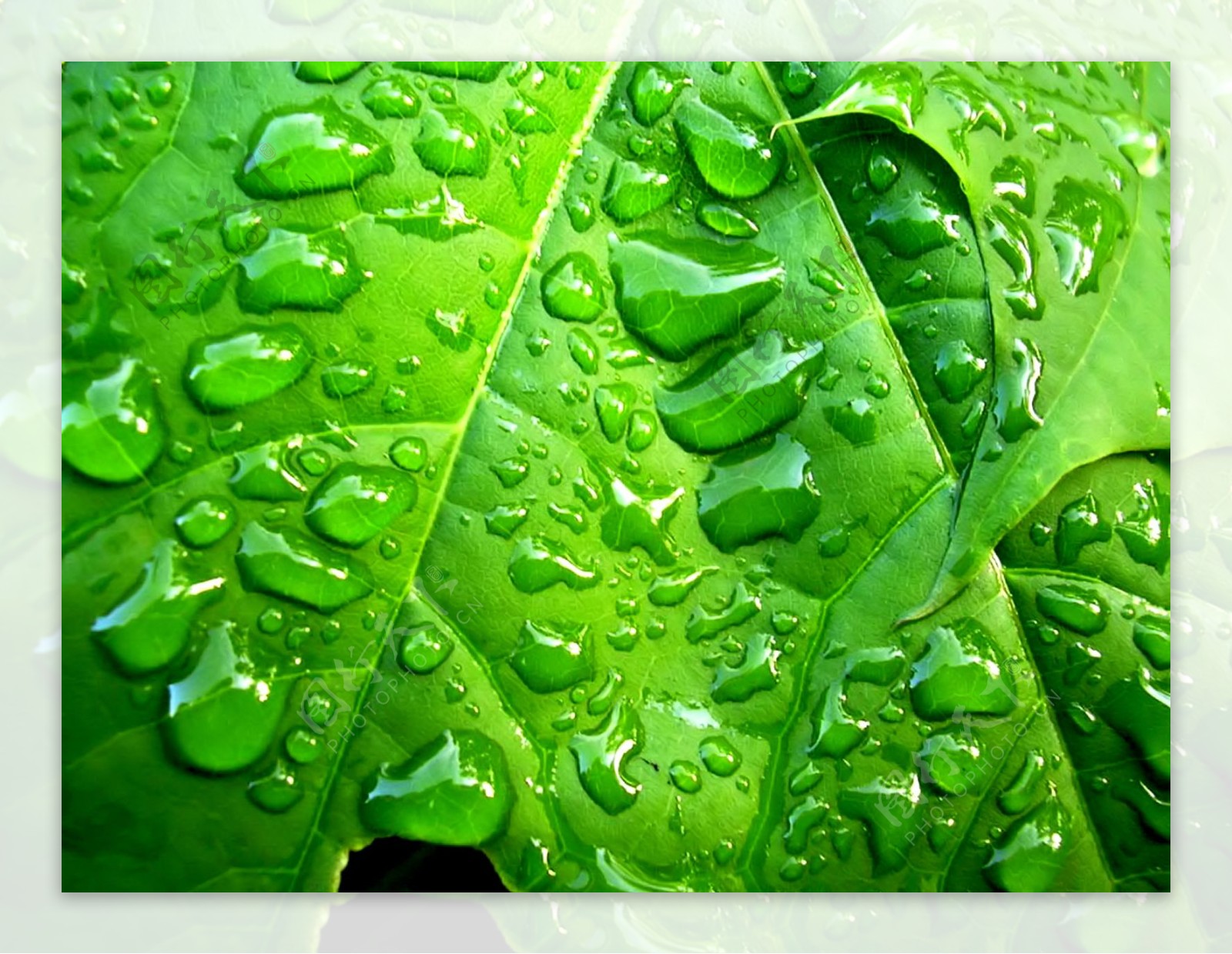 高清桌面背景图片素材-编号02021118-图行天下