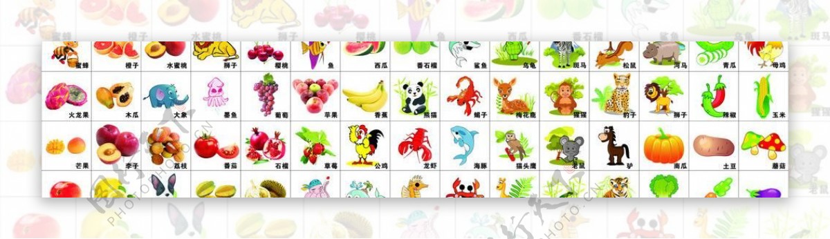 水果动物卡通图片