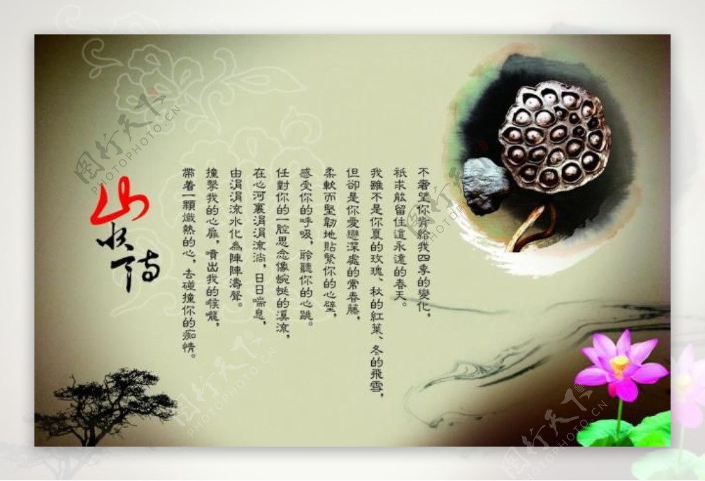 中国传统文化莲子图片