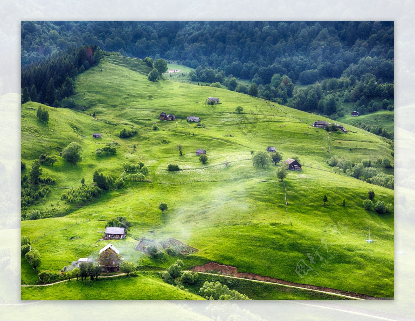 高清绿色山坡乡村人家素材图