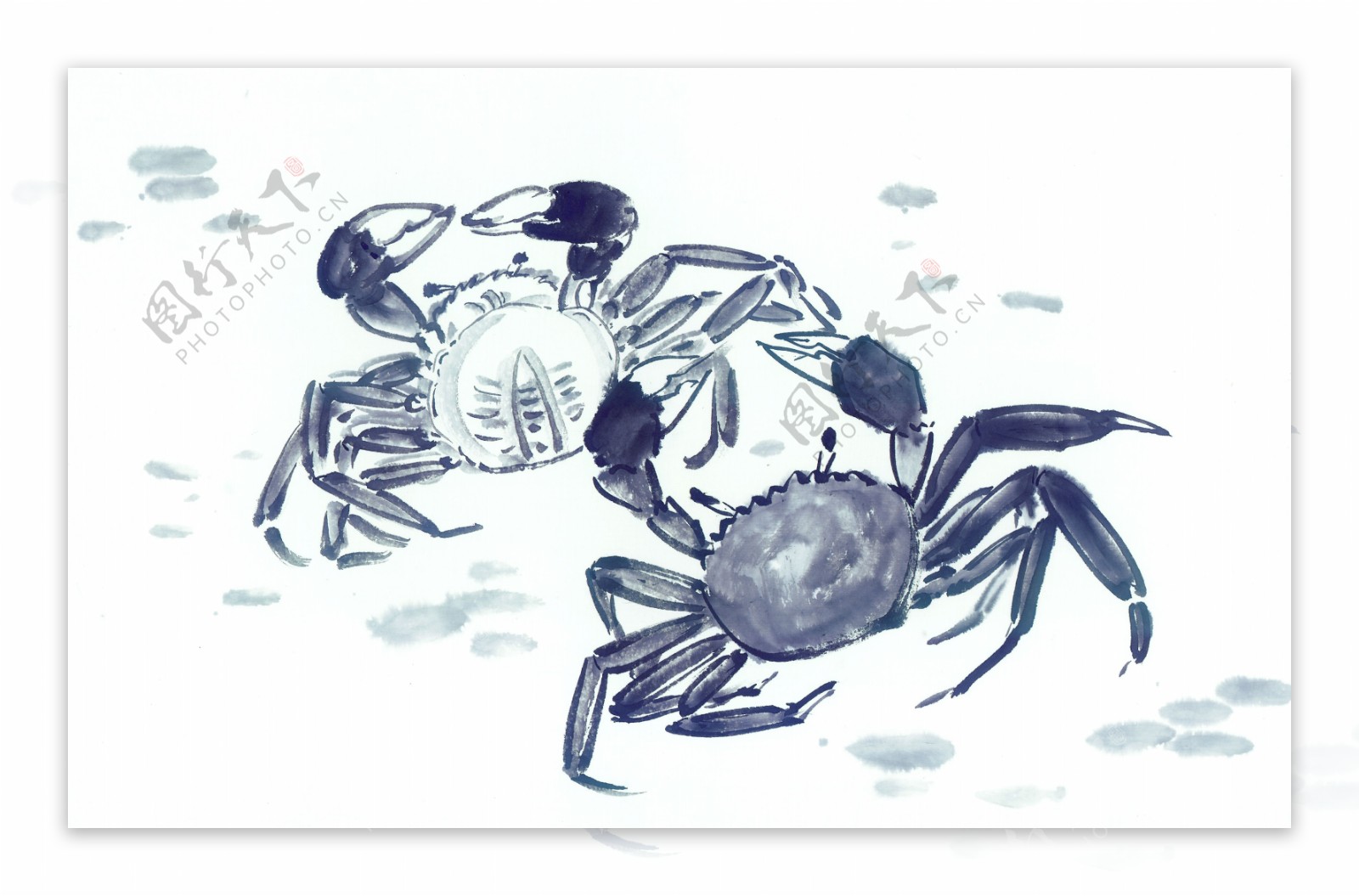 螃蟹绘画