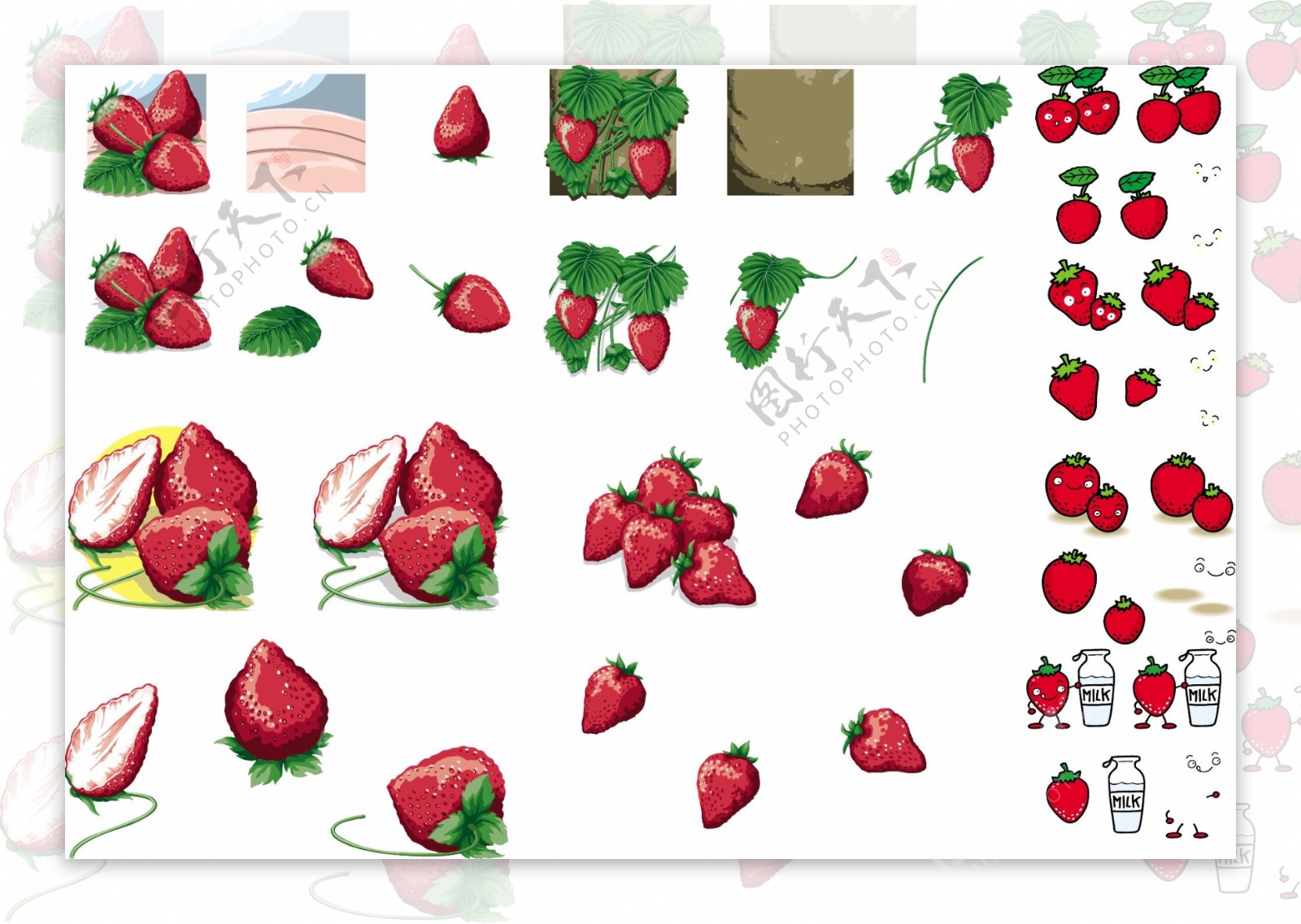 草莓合集图片
