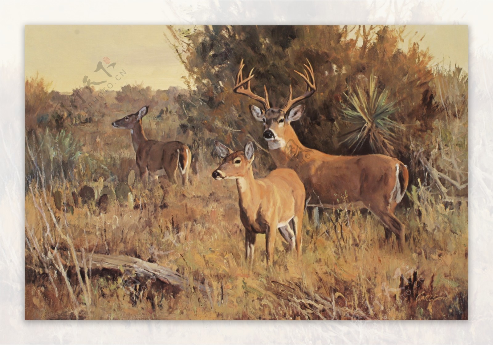 鍔墿48高清西方画家写实动物油画印象派油画装饰画背景墙