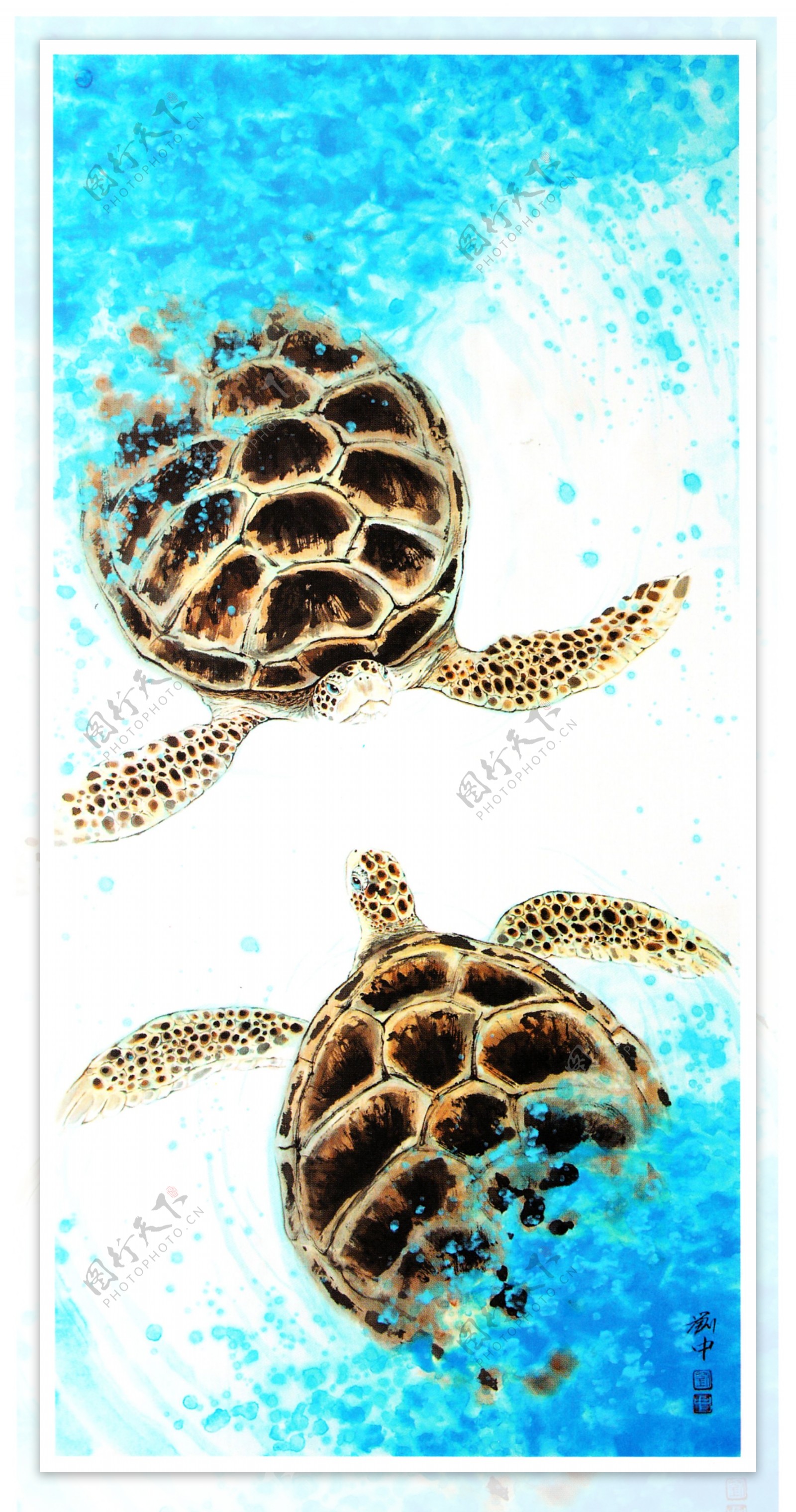 海龟油画图片