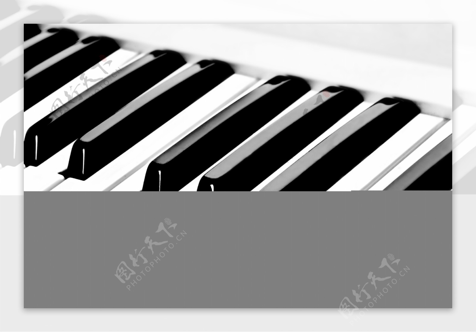 高清钢琴键盘特写黑白键