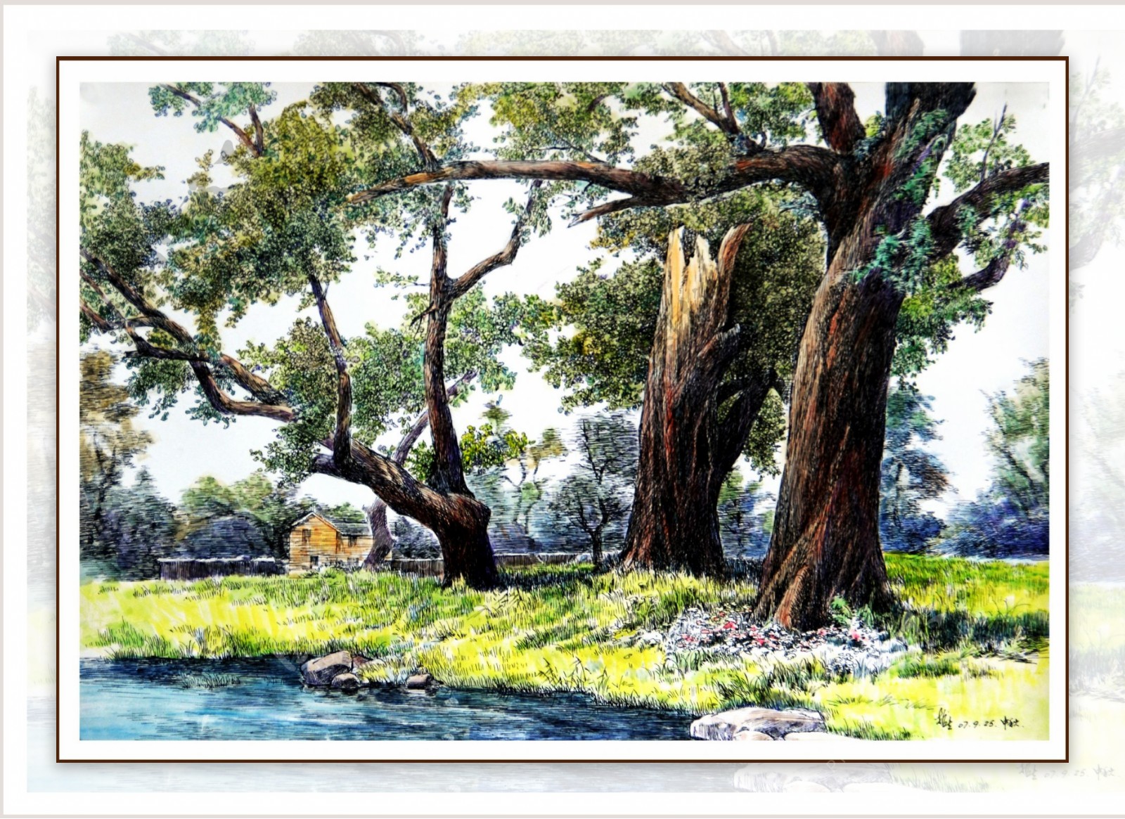 樟树林钢笔水彩画图片素材