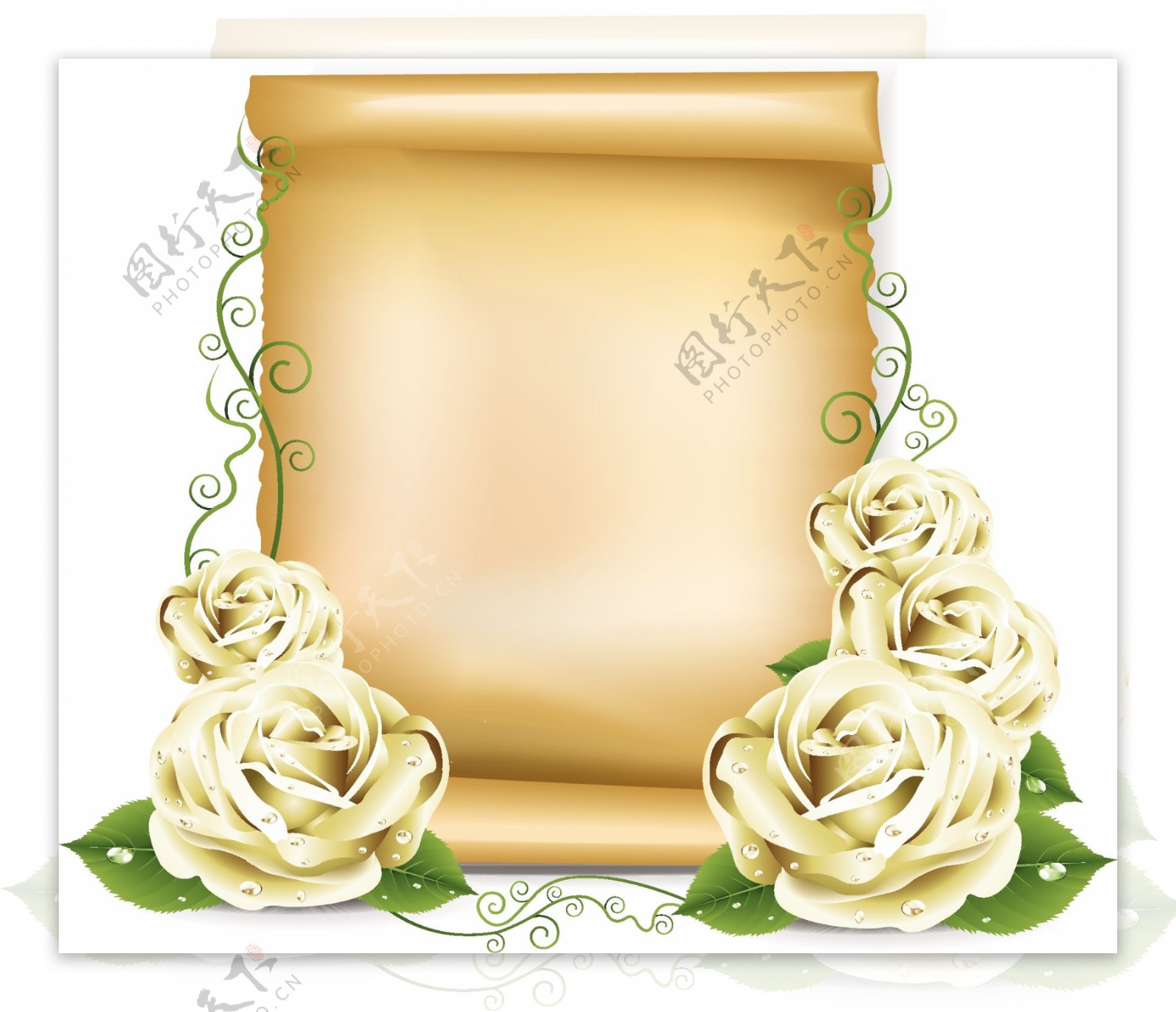黄玫瑰复古纸张卷轴图片