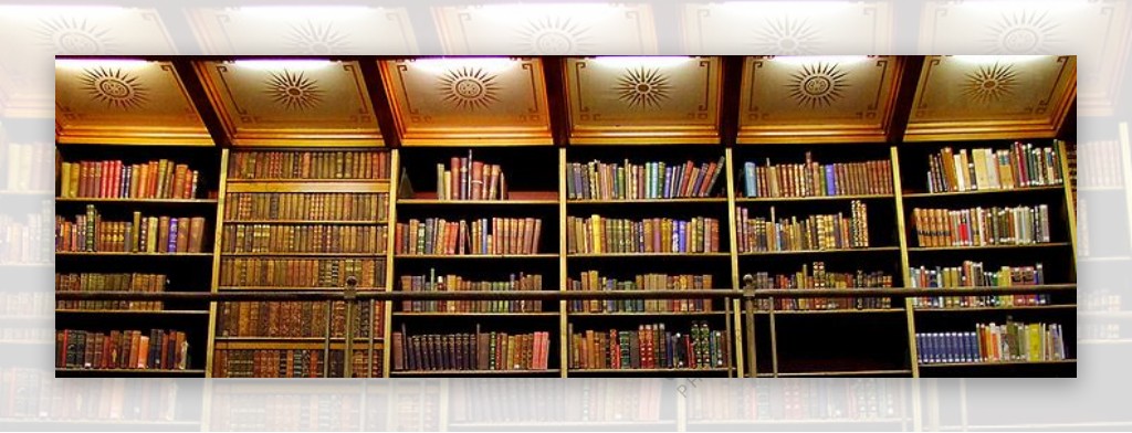 棕色书店图书馆模板