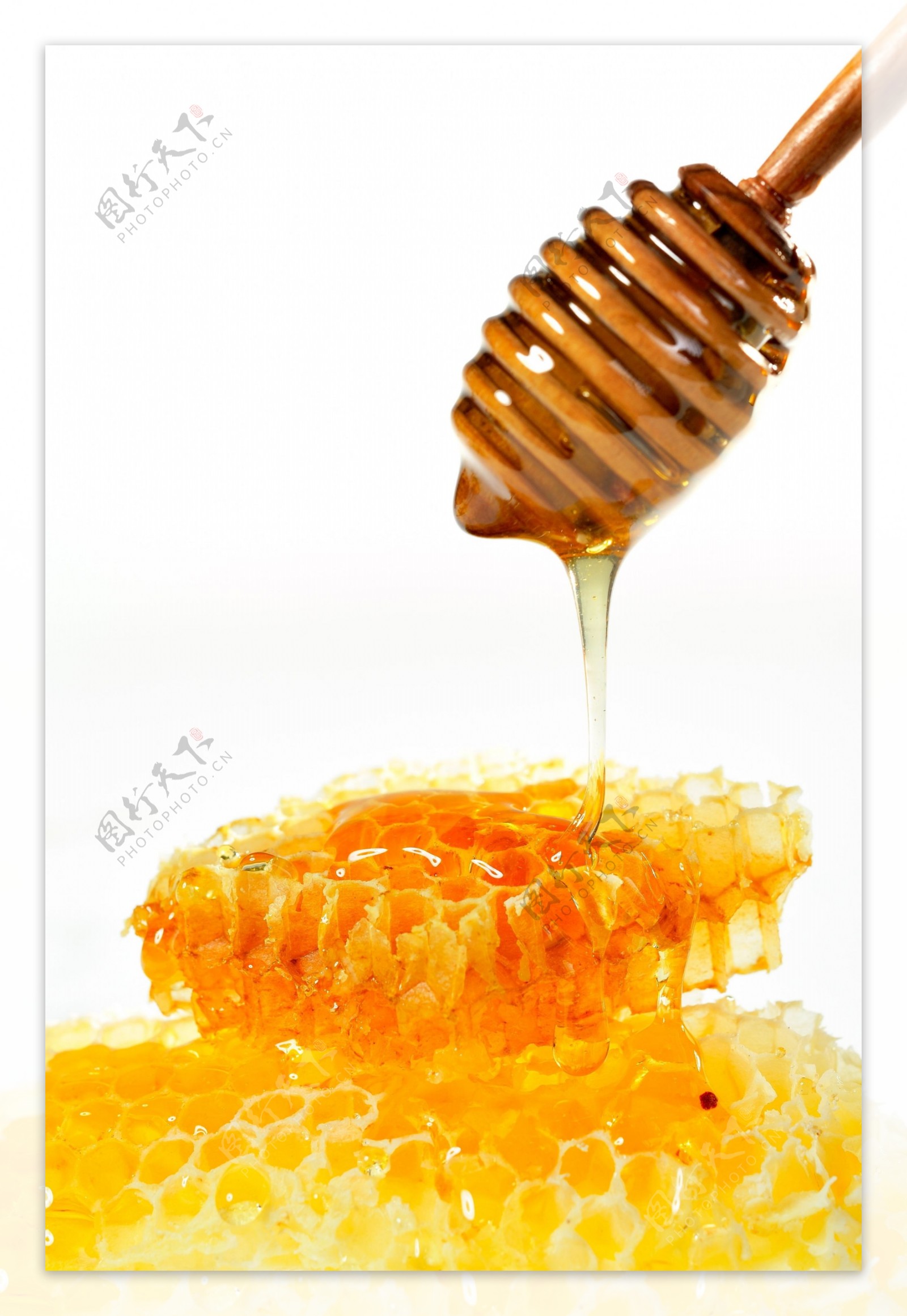 蜂蜜黄色蜂窝蜜糖高像素