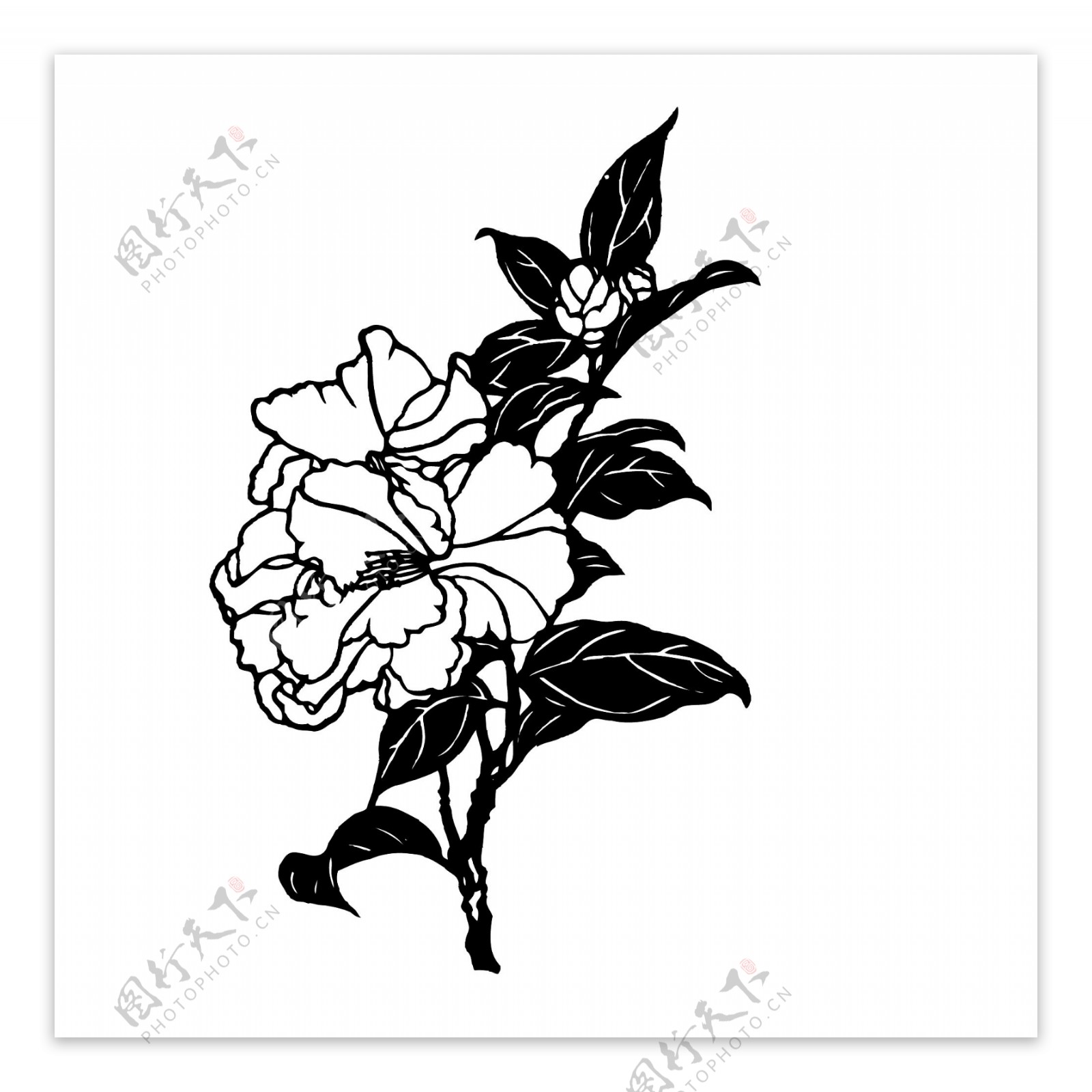 印花矢量图成熟优雅女装植物花卉黑白色免费素材