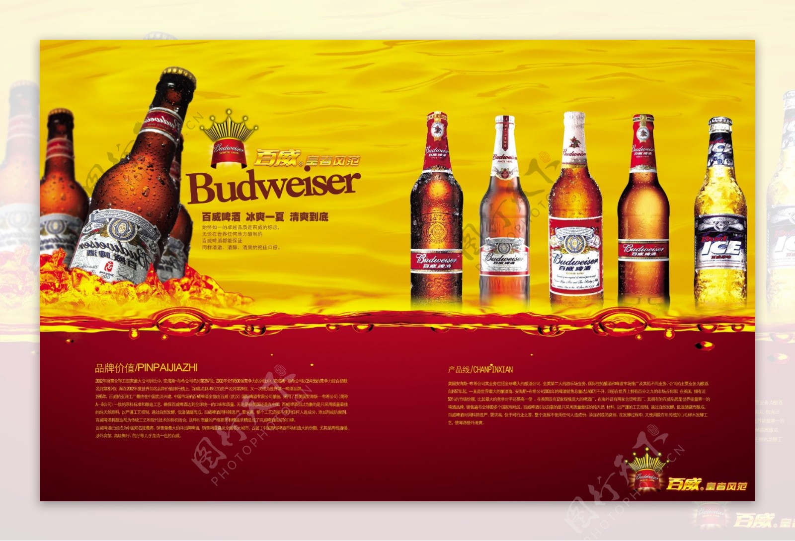 创意百威啤酒广告宣传海报折页分层素材图片