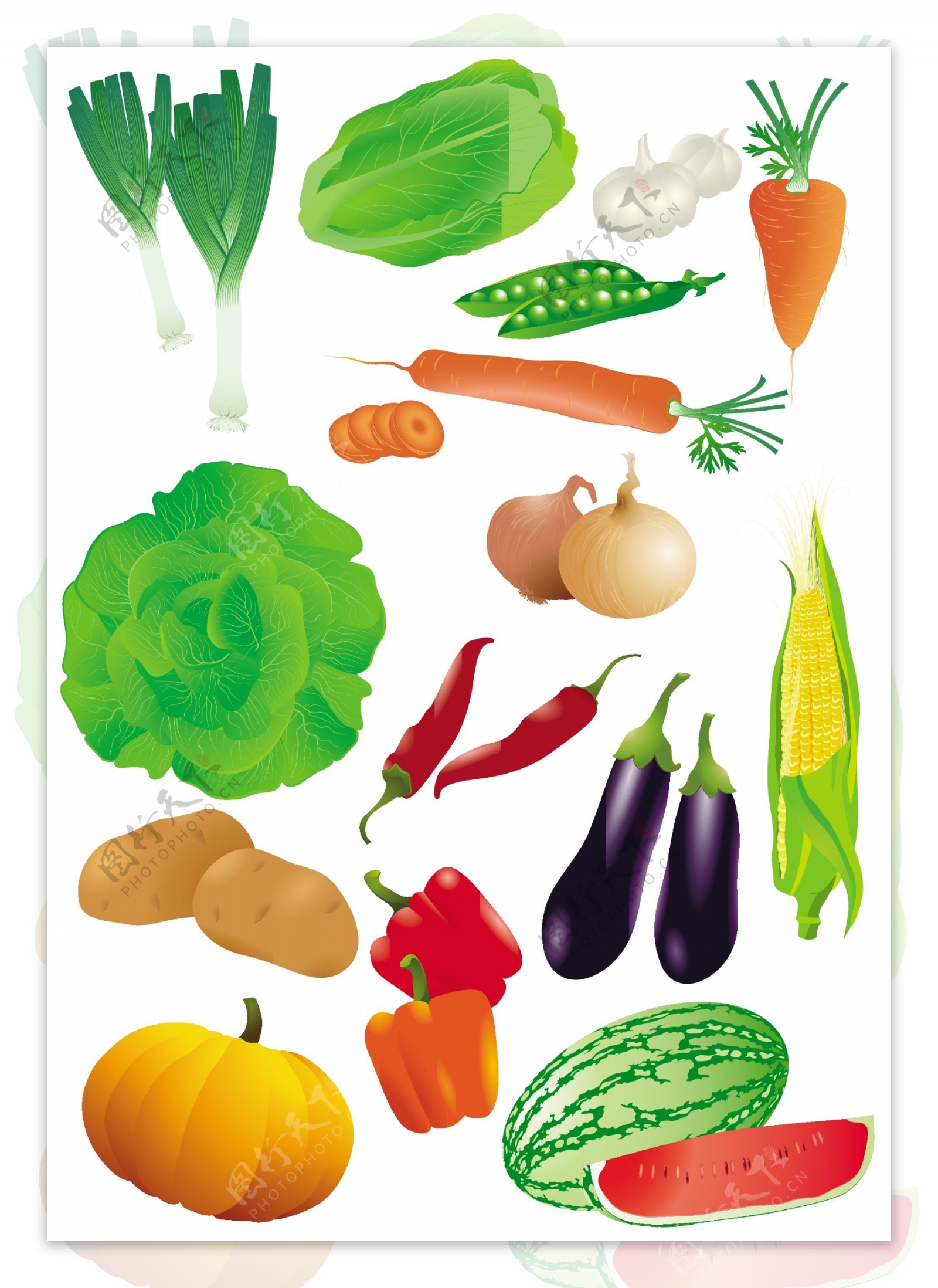 蔬菜水果矢量图图片