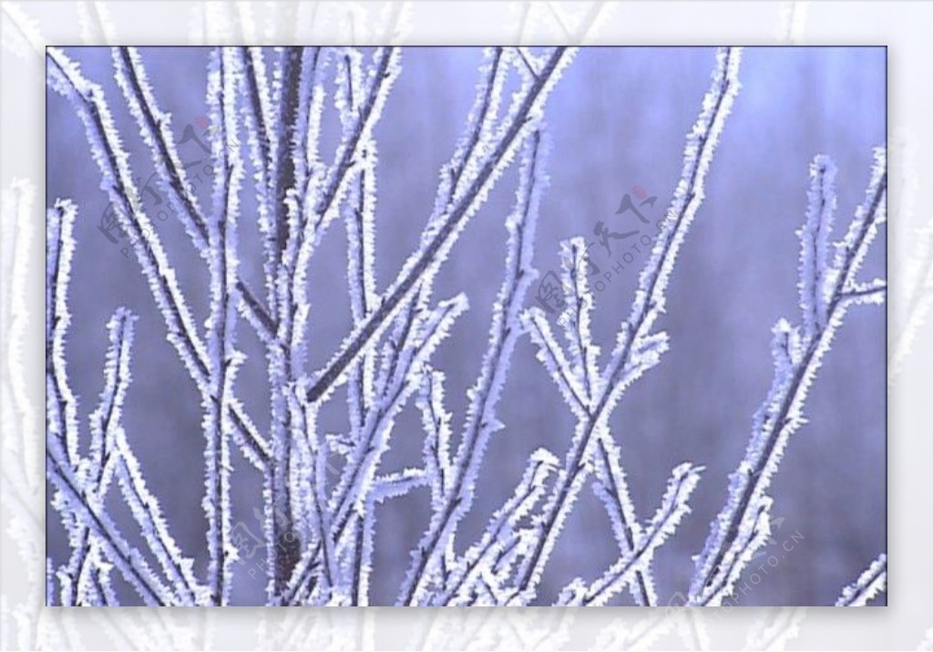 雪景视频素材素材下载