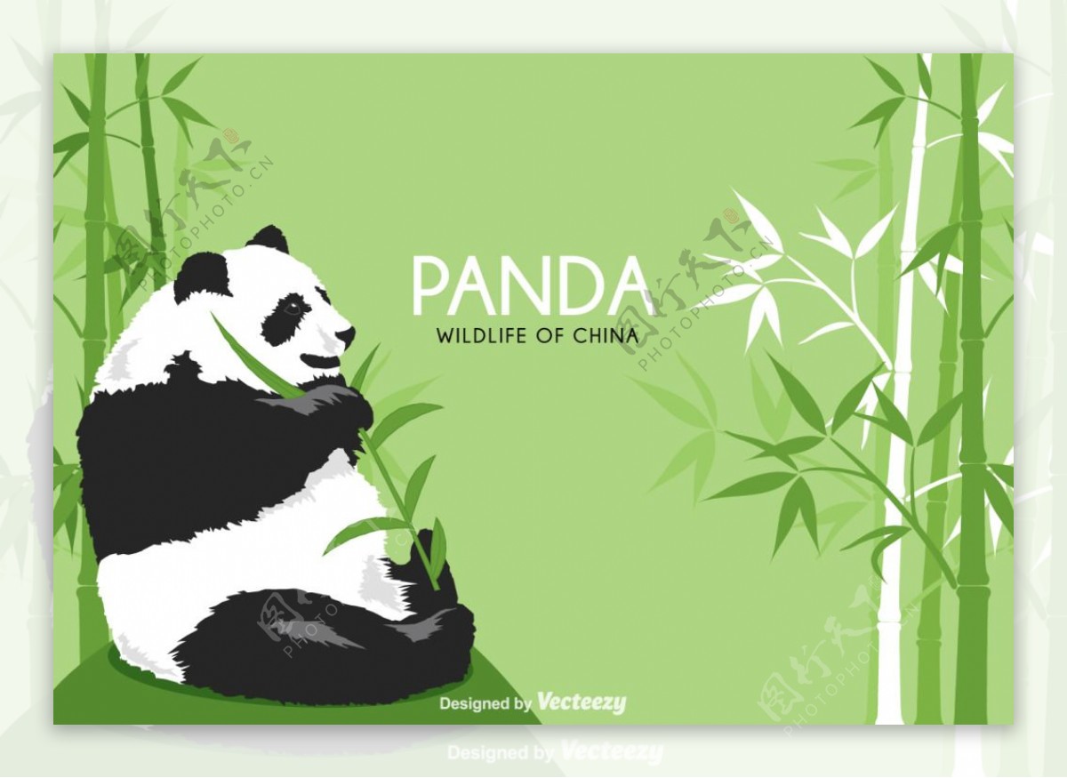 熊猫设计图