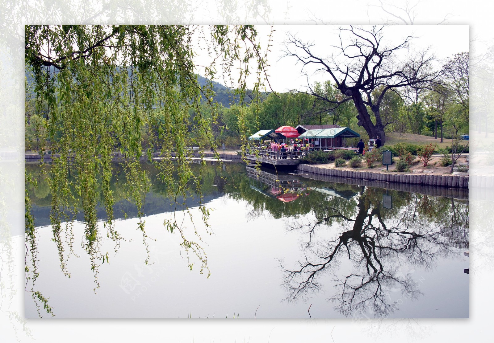 北京植物园秋色图片