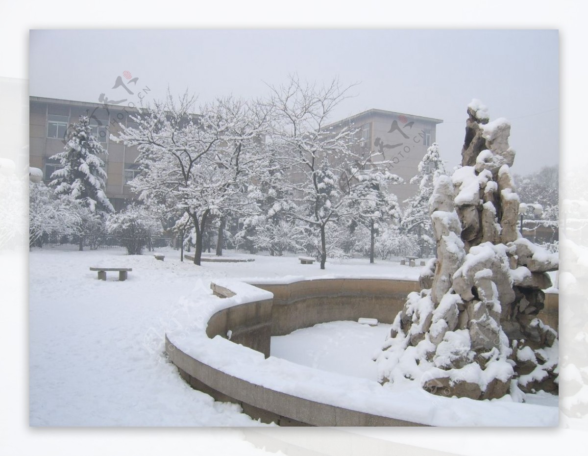 雪景