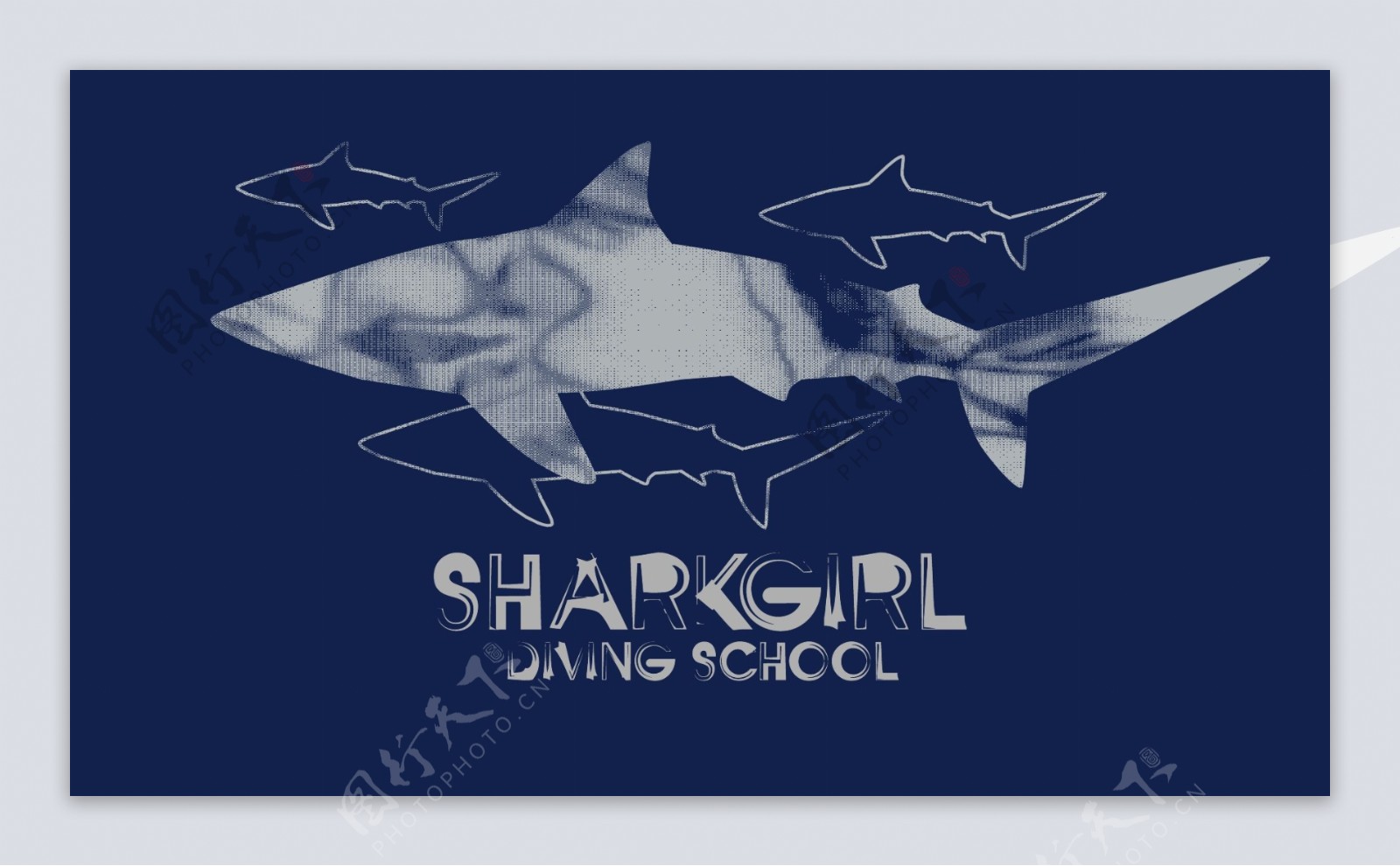 印花矢量图动物鲨鱼英文图文结合色彩免费素材