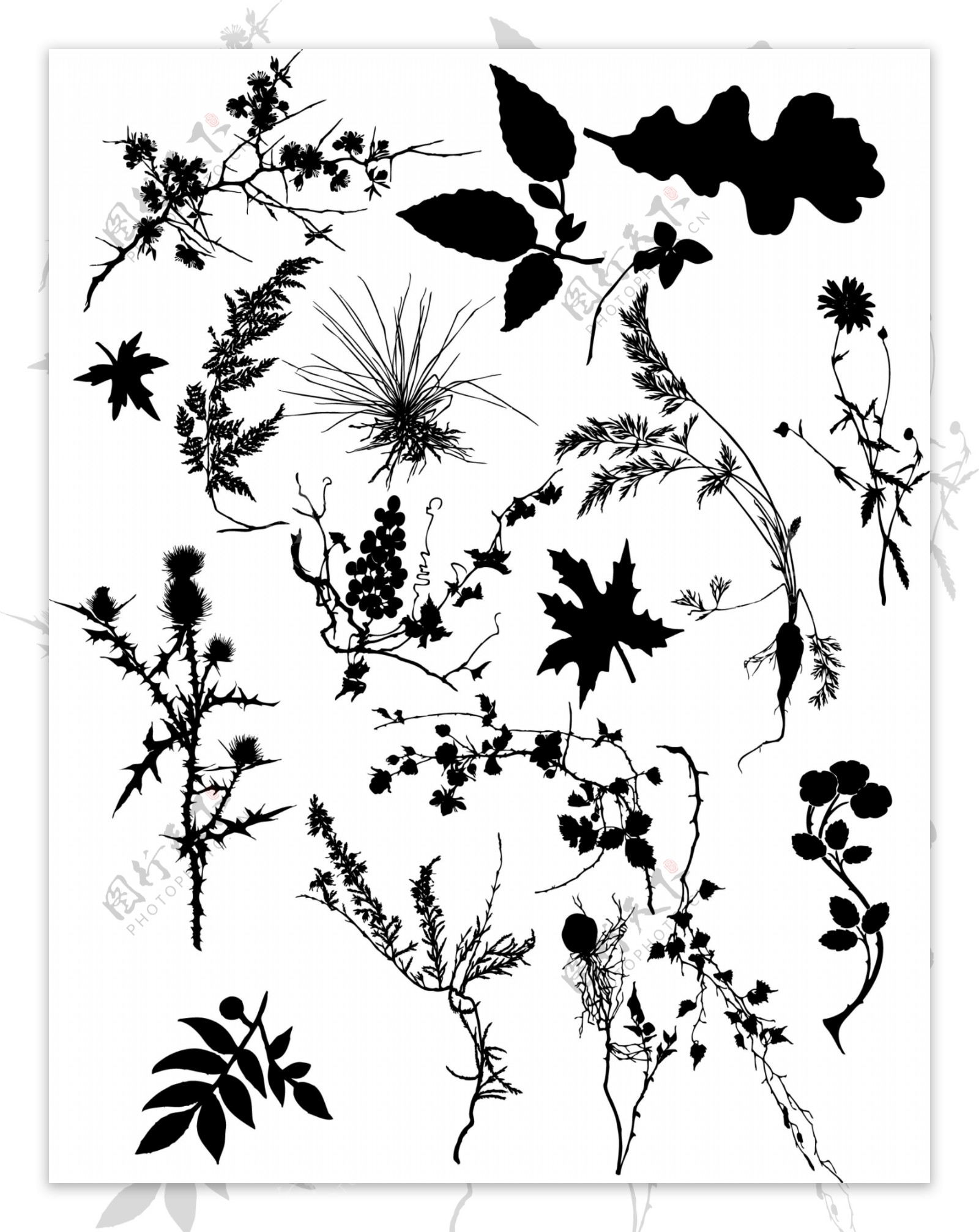 多款植物黑白剪影矢量素材