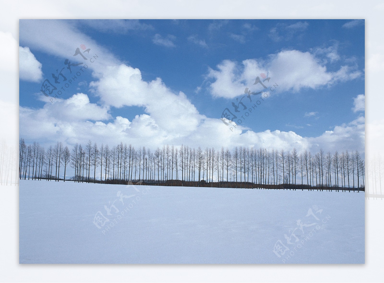 冰天雪地