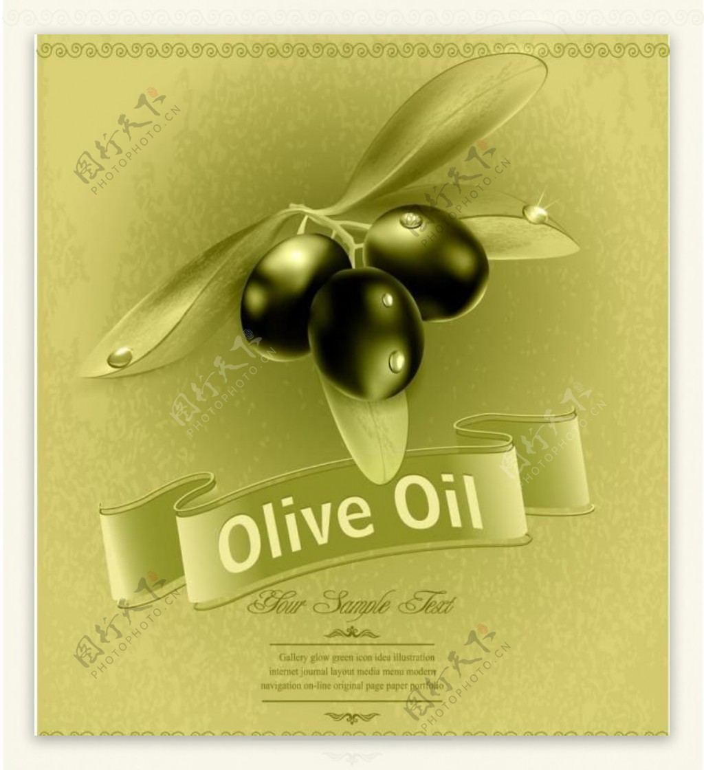橄榄油标签图片