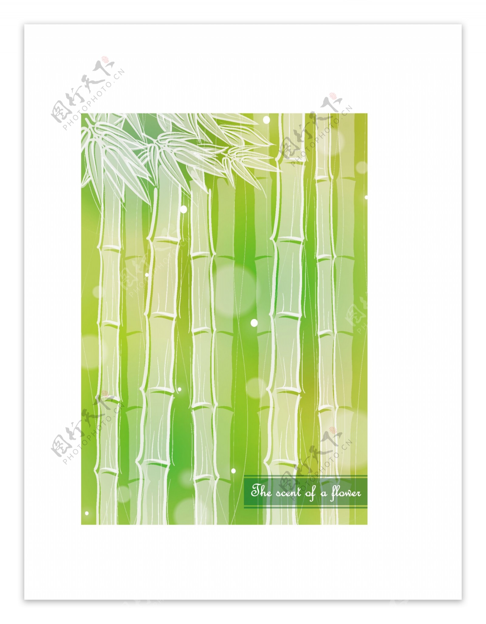 矢量绿色竹子花纹背景